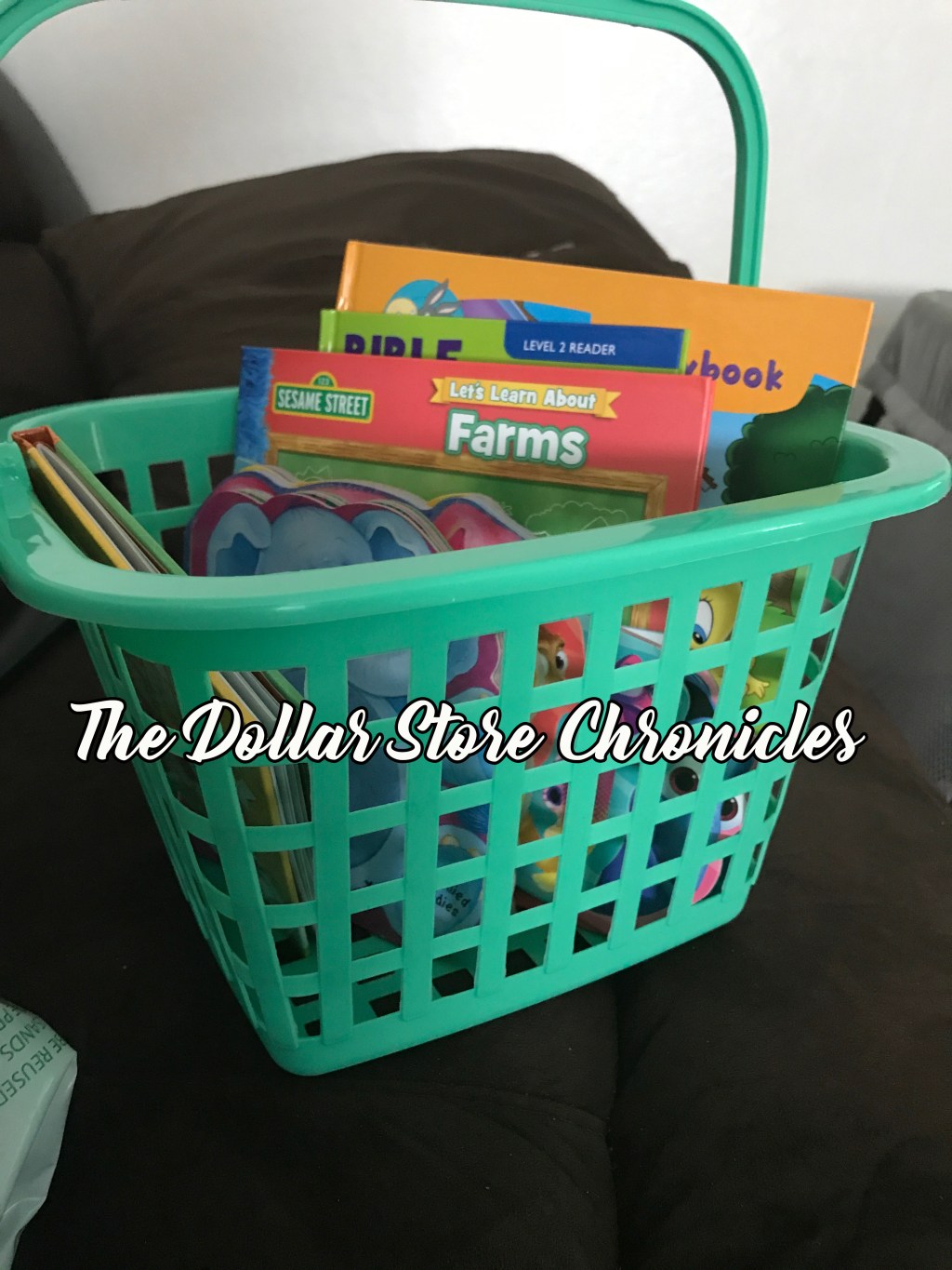 The Dollar Store&nbsp;Chronicles